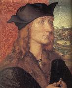 Albrecht Durer, Hans Tucher